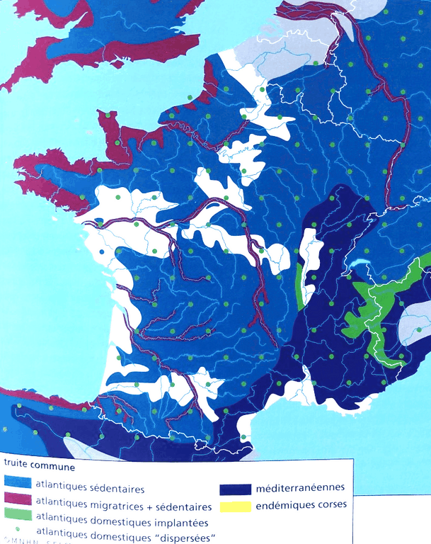 repartition des truites en france