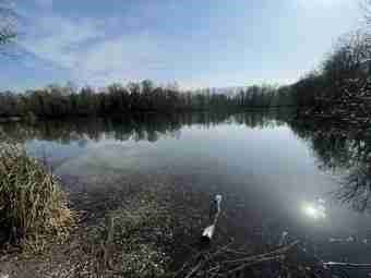 Etang de Chautrand