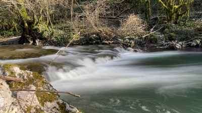 Le Gland